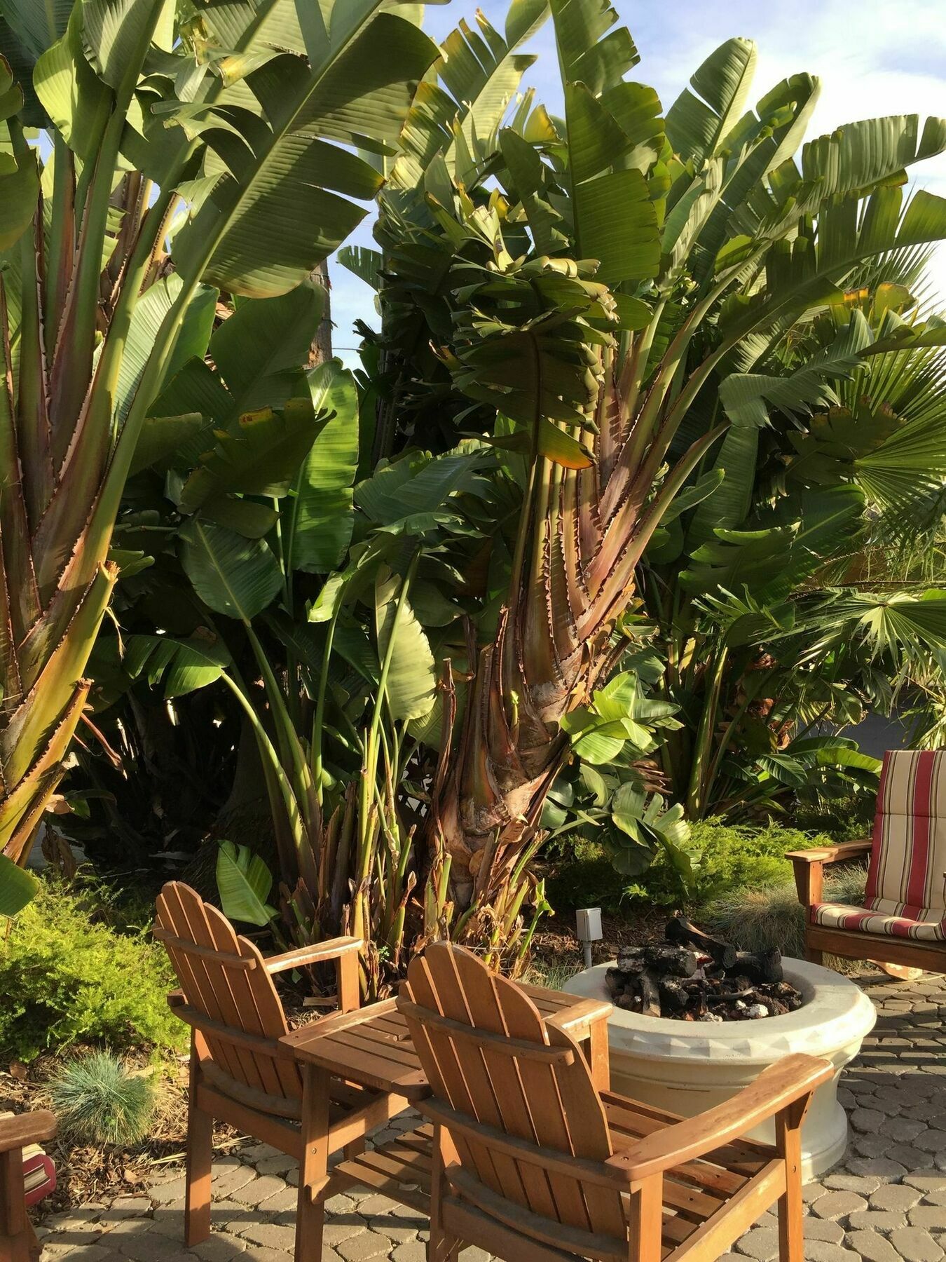 Beach Bungalow Inn And Suites Morro Bay Buitenkant foto